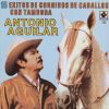 Download track Caballo Alazan Lucero