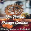 Download track Om Namah Shivaya Gurudev Namastasye