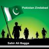 Download track Pakistan Zindabad