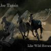 Download track Like Wild Horses