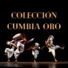 Download track Cumbias Con Banda Para Bailar