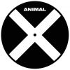 Download track Animal X