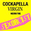 Download track The Sexpert