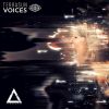 Download track Voices From Beyond