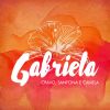 Download track Baile Da Gabriela (Ao Vivo)