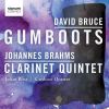Download track Clarinet Quintet In B Minor Op. 115 - I. Allegro