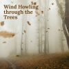 Download track Wind Howling Trought The Trees, Pt. 4