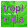 Download track Tropicalia Groove (Dom Paradise Mix Edit)