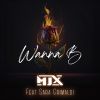 Download track WANNA BE (Extended)