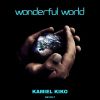 Download track Wonderful World