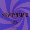 Download track Ecstasy (Yell Of Bee Remix)