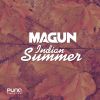 Download track Indian Summer (Extended Mix)