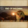 Download track Fight With Insomnia