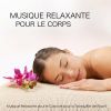 Download track Musique Déstressante Et Relaxante