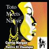 Download track Toto Meets Native (The Smooth Agent Mix)