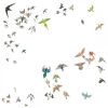 Download track Murmuration