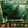 Download track A Walk In The Rainforest