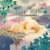 Download track Cat's Nap ZzZ