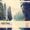 Download track Forest Haven