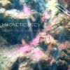 Download track Magnetic Skies