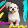 Download track Happy Backdrops For Calm Hounds