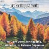 Download track Relaxing Music, Pt. 1