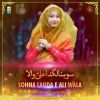 Download track Sohna Lagda E Ali Wala