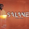 Download track Salane