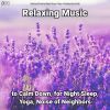 Download track Relaxing Music, Pt. 47