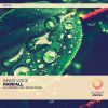 Download track Rainfall (Druce Remix)