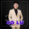 Download track Tình Người Cô Lữ (Instrumental)