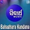 Download track Dande Ta Nachhada