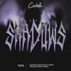 Download track SHADOWS (Chapa X Remix)