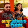 Download track SUNT SINGUR SI PLANG