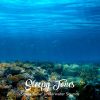 Download track Stress Relief Underwater Sounds, Pt. 14