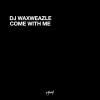 Download track Come With Me (Critical Mass & DJ Waxweazle Mix)