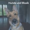 Download track Ein Glücklicher Hund