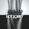 Download track Sorry Not Sorry (RainDropz! Remix)