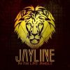 Download track 2 Tonn Shuffle (Jays Heavyload Mix)