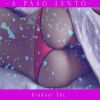 Download track A Paso Lento