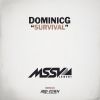 Download track Survival (Original Mix)