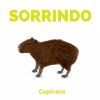 Download track Capivara