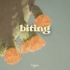 Download track Biting