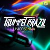 Download track Trumpet Brazil (Rodriggo Liu Remix)