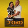 Download track Forro D Oro