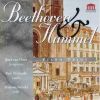 Download track Beethoven - Piano Trio In E Flat Mayor Op. 1 No. 1 - 3. Scherzo-Allegro Assai