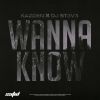 Download track Wanna Know (Instrumental Mix)