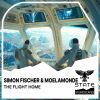 Download track The Flight Home (Extended Mix)