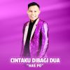 Download track Cintaku Dibagi Dua