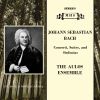 Download track Orchestral Suite No. 2 In B Minor For Flute, Strings, And Basso Continuo, BWV 1067: III. Sarabande